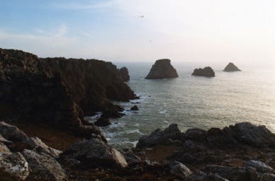 Tas de pois face à la pointe de Menhir